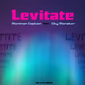 Levitate (feat. City Monster)
