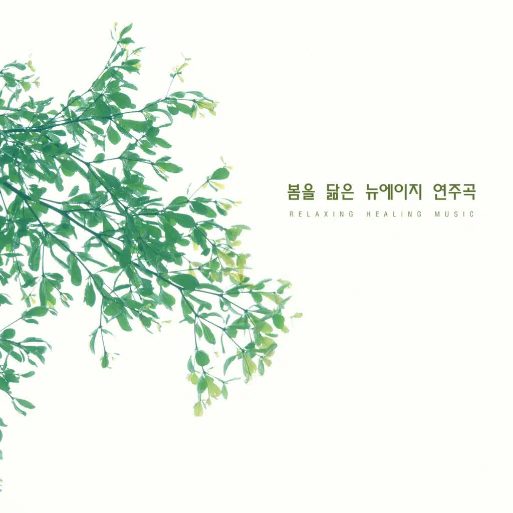 봄을 닮은 뉴에이지 연주곡 New Age Music Like a Springs