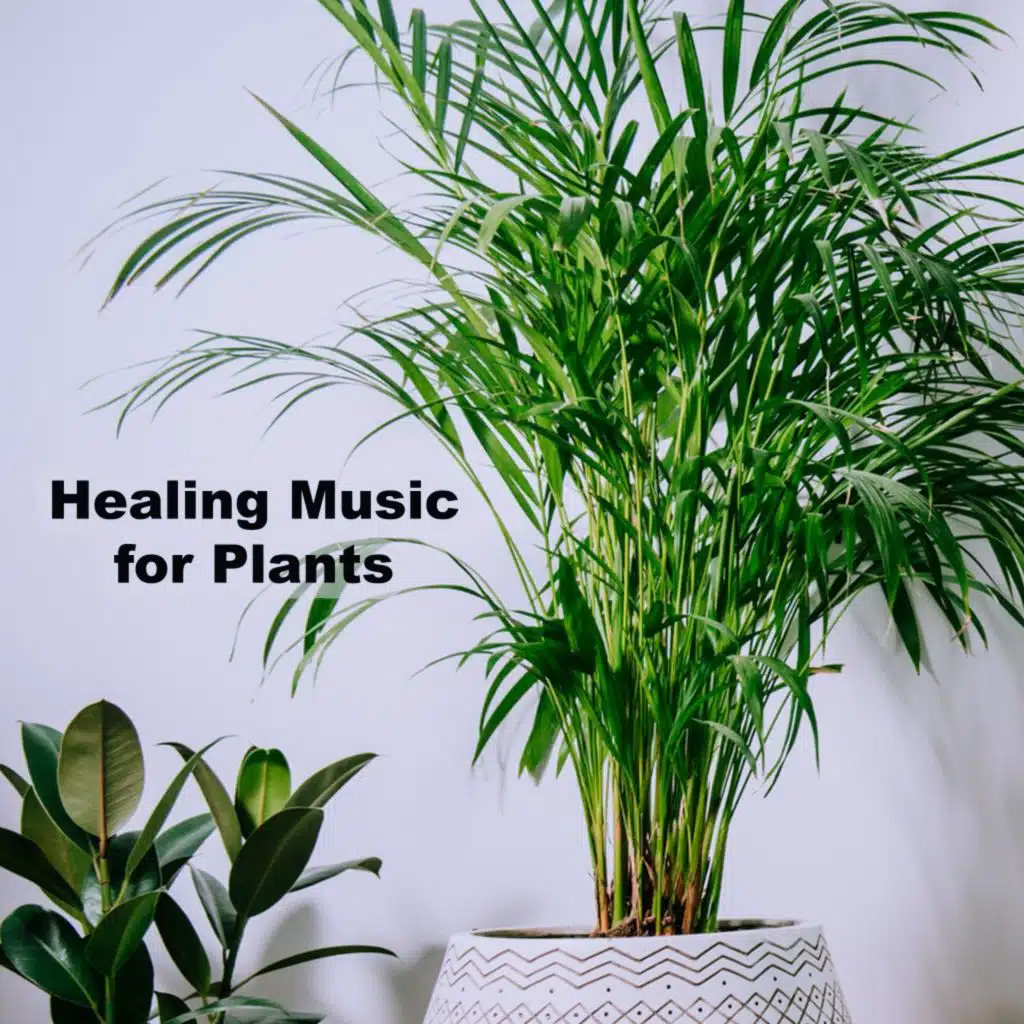 Healing Music for Plants (The Essential Macro and Micro Nutrients Fertilezer Music)