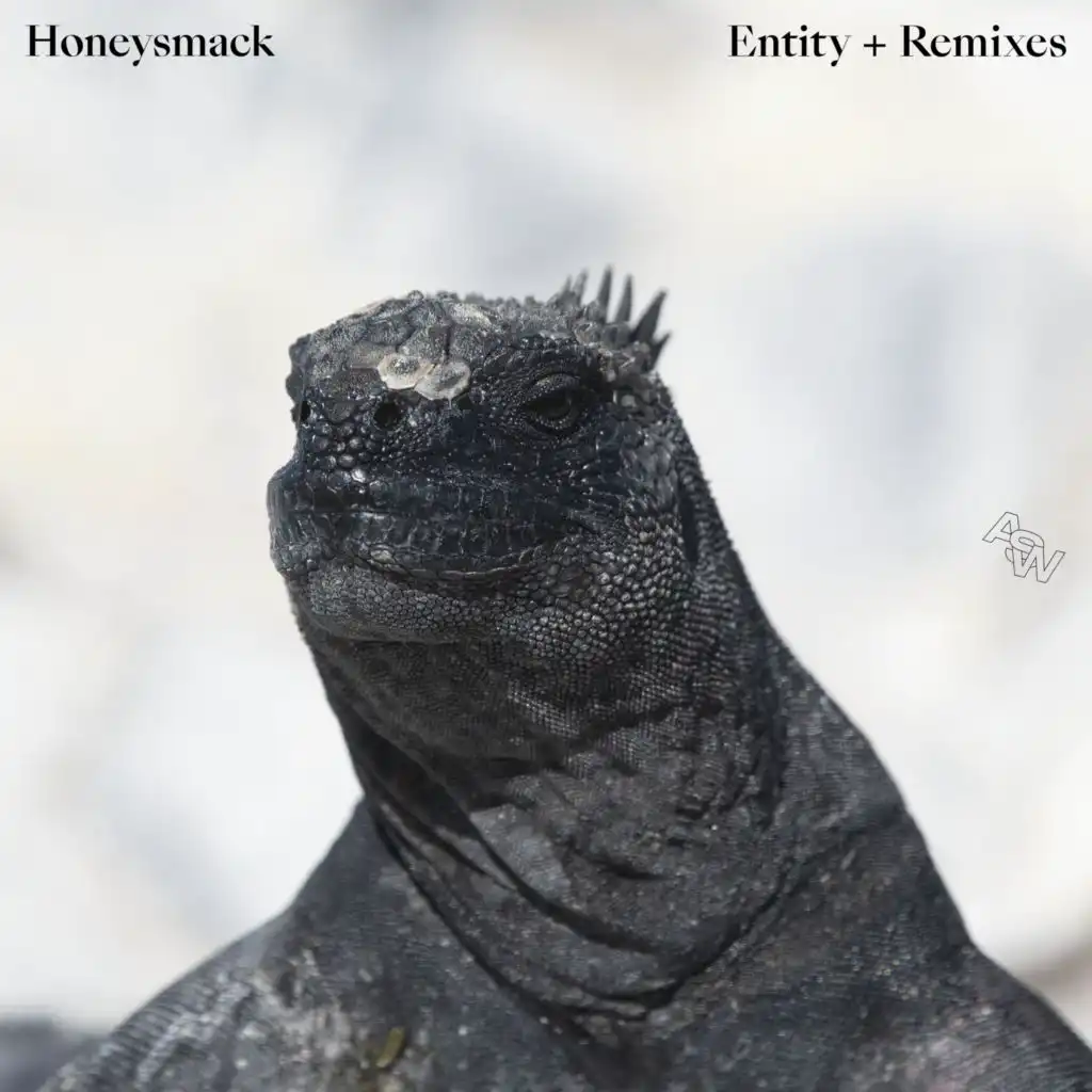 Entity (Honeysmack Acid Remix)