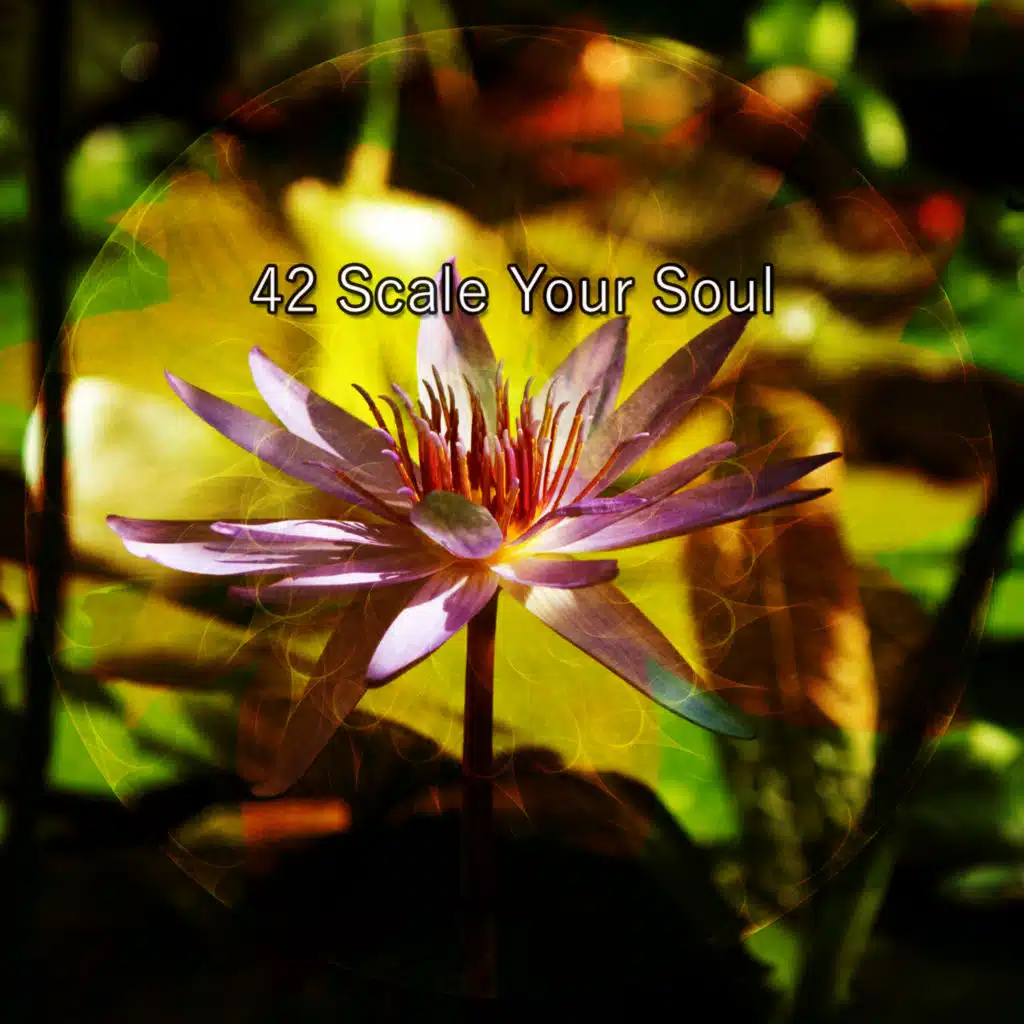 Mindfulness Meditation Universe