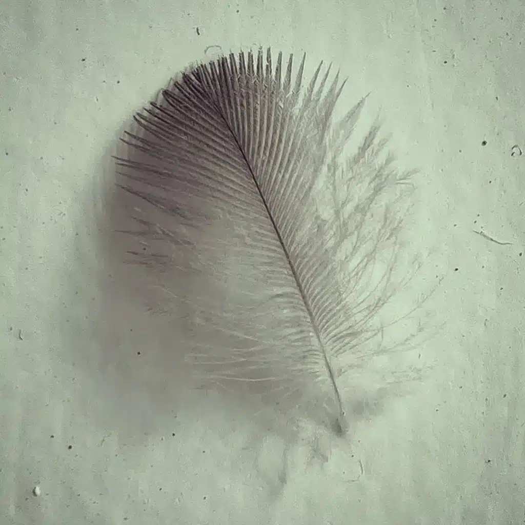 I Remember That I Forget (feat. Nick Schinder)