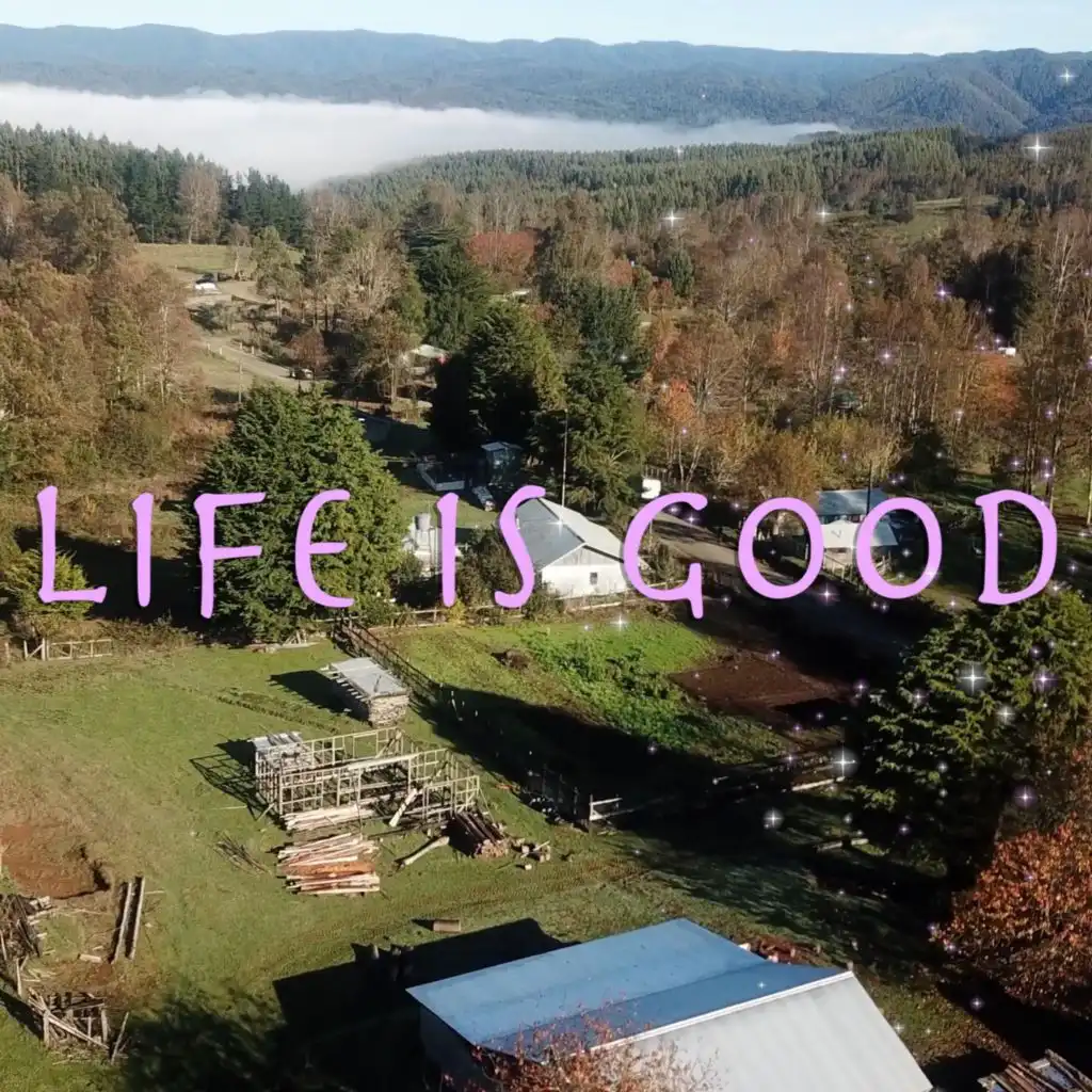 Life Is Good (Mix)