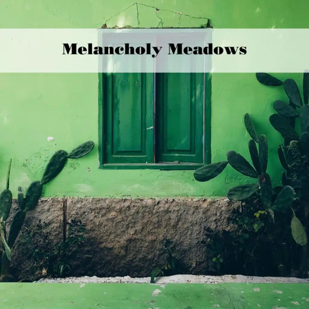 Melancholy Meadows