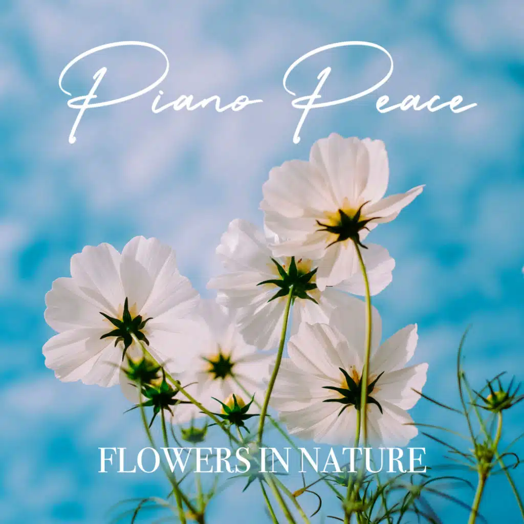 Jasmine (with the River Birds)