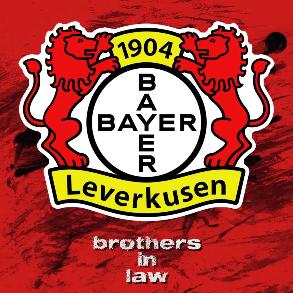 Brothers in Law