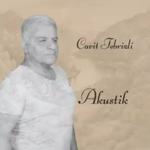 Cavit Tebrizli