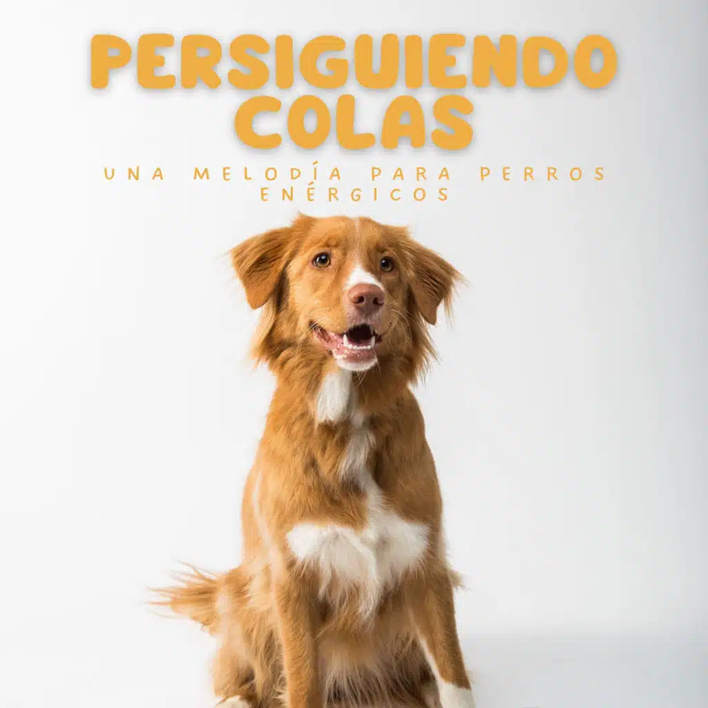 Persiguiendo Colas: Una Melodía Para Perros Enérgicos