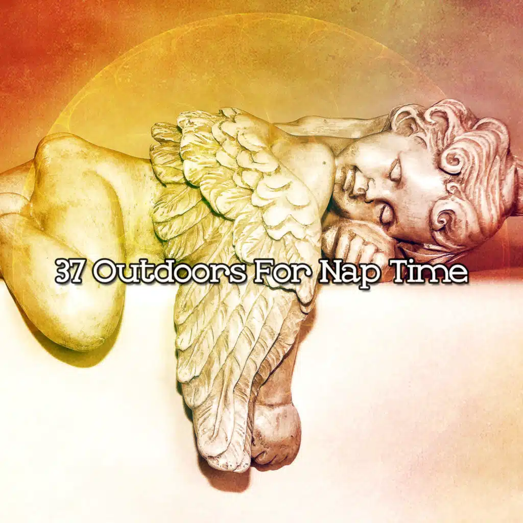 Ocean Sounds Collection