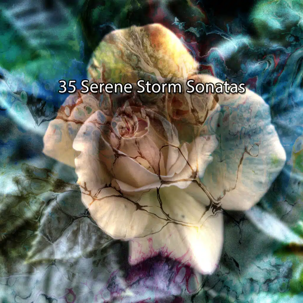 Rain Sounds & Nature Sounds