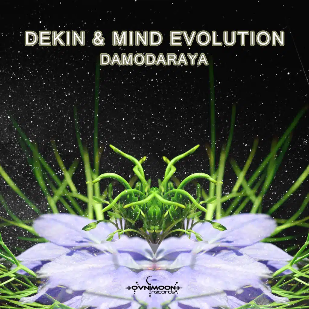 Dekiñ & Mind Evolution