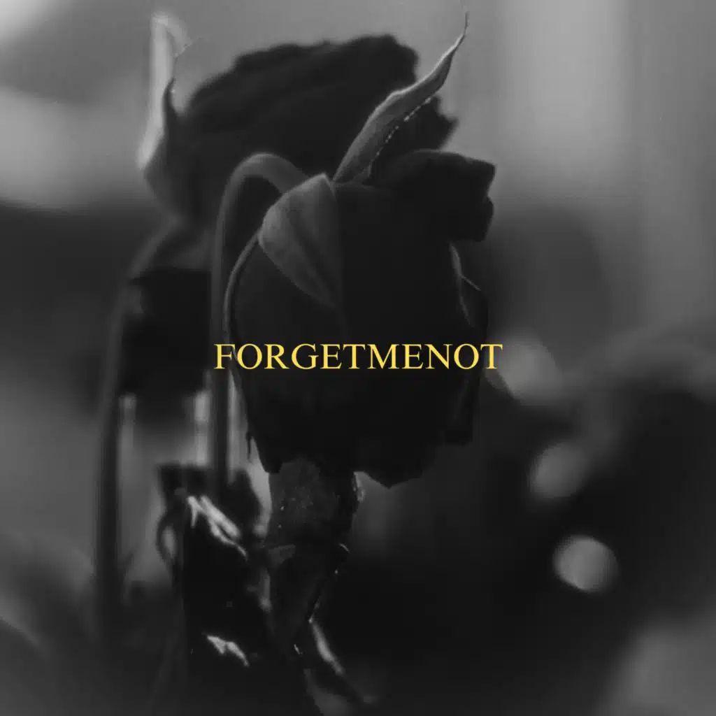 FORGETMENOT