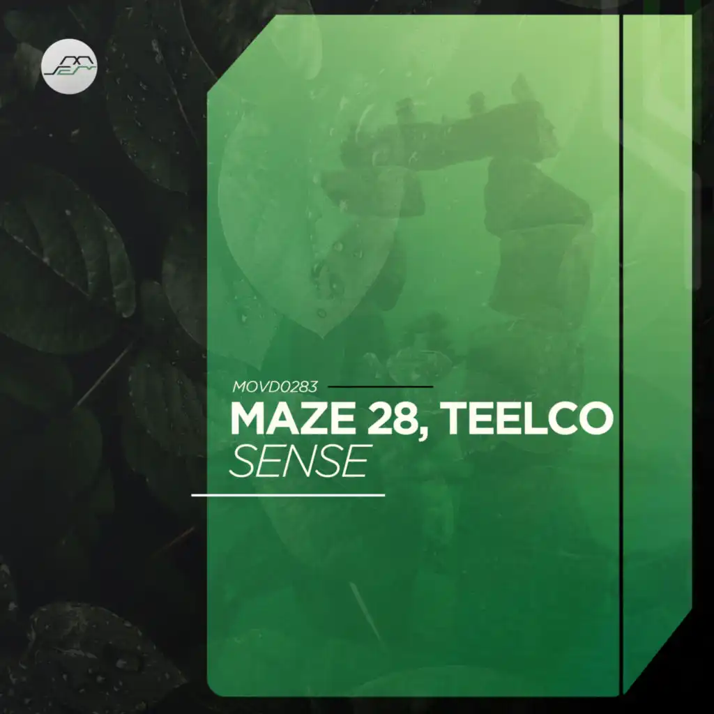 Maze 28 & TEELCO