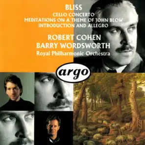 Bliss: Concerto for Cello & Orchestra - 1. Allegro deciso