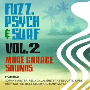 Fuzz, Psych & Surf, Vol. 2 - More Garage Sounds