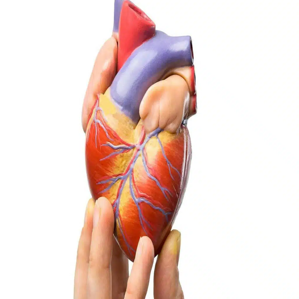 Futureproof Extra: The new science of the heart