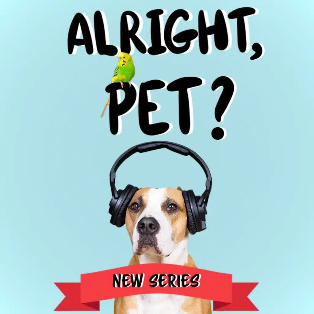 Dancer Karen Hauer, cheeky cats and dating, doggy style