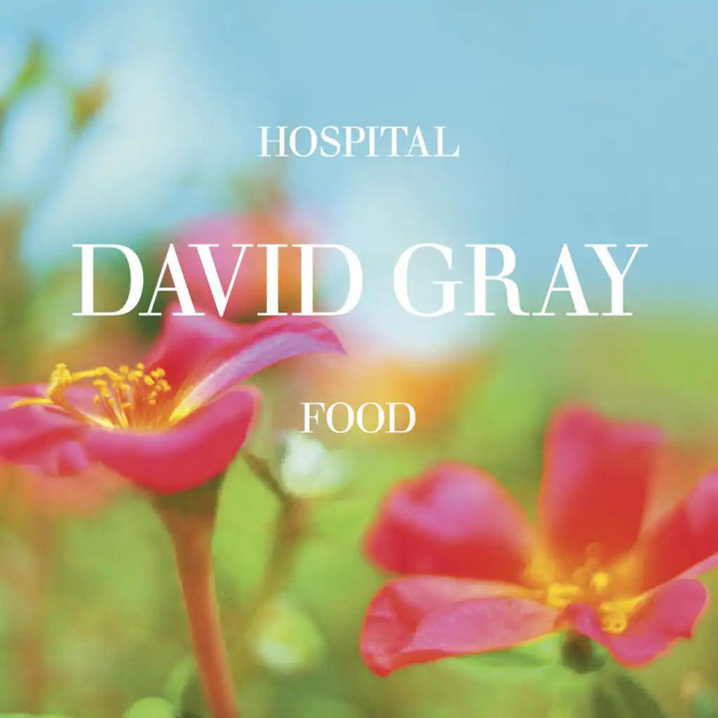 Hospital Food (Radio Edit)