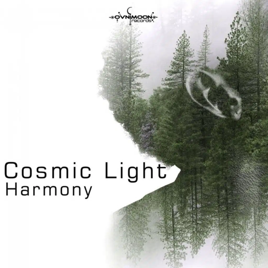 Cosmic Light