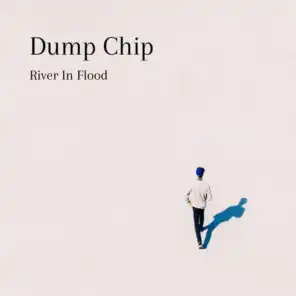 Dump Chip