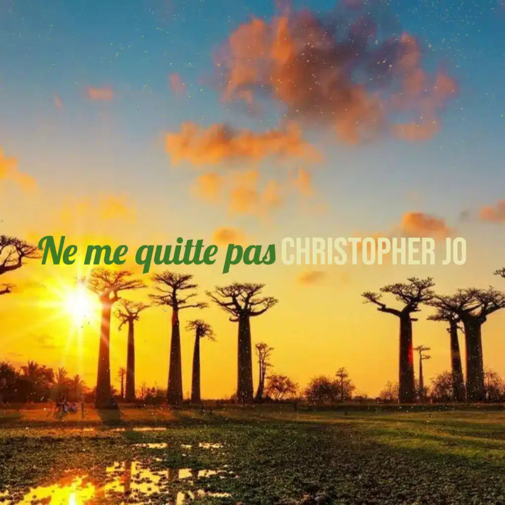 Ne me quitte pas