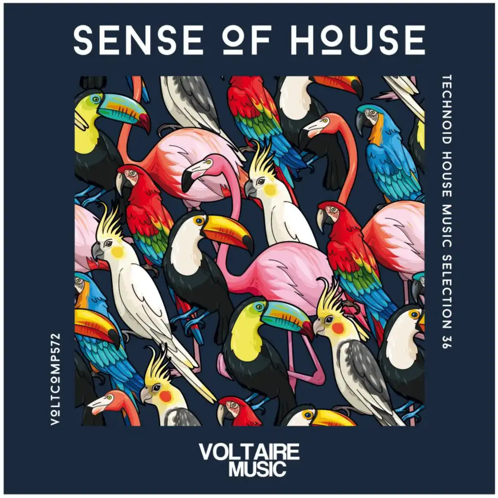 Sense of House, Vol. 36