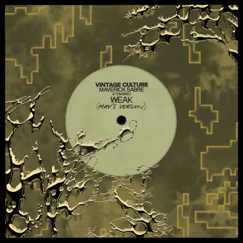 Vintage Culture, Maverick Sabre & Tom Breu