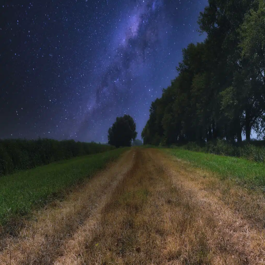 Return to the Shadows