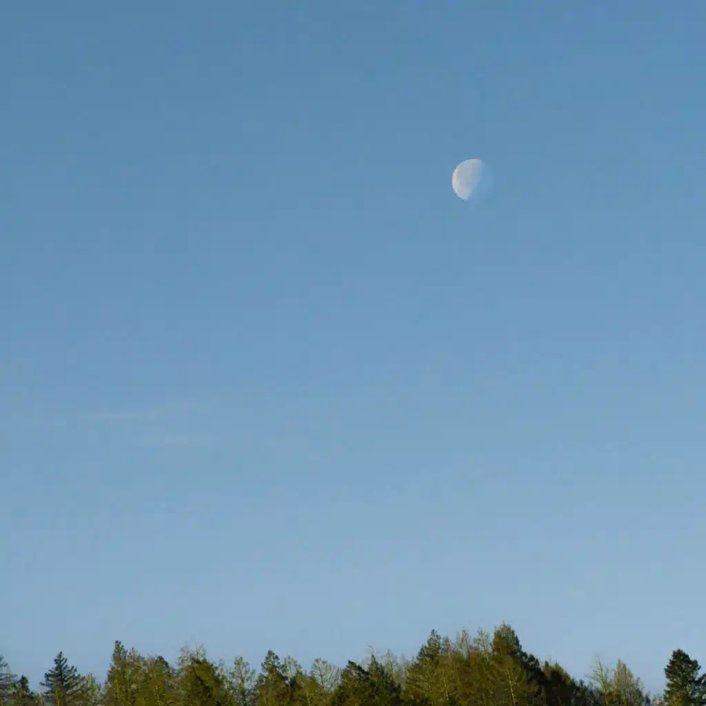 MOON