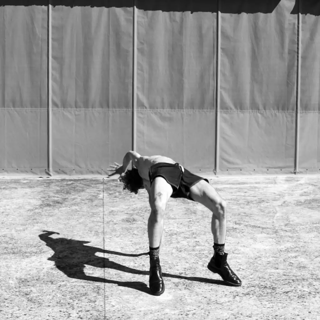 When Do Dogs Stop Growing ?