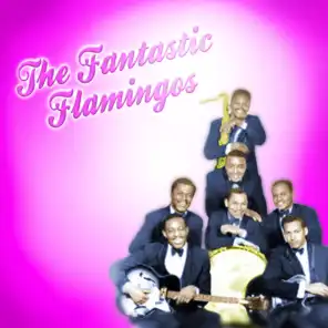 The Fantastic Flamingos