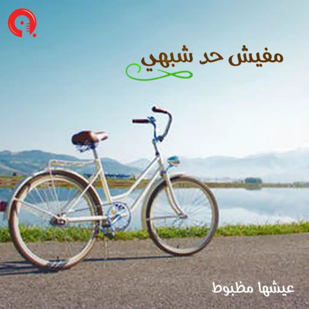 مفيش حد شبهي