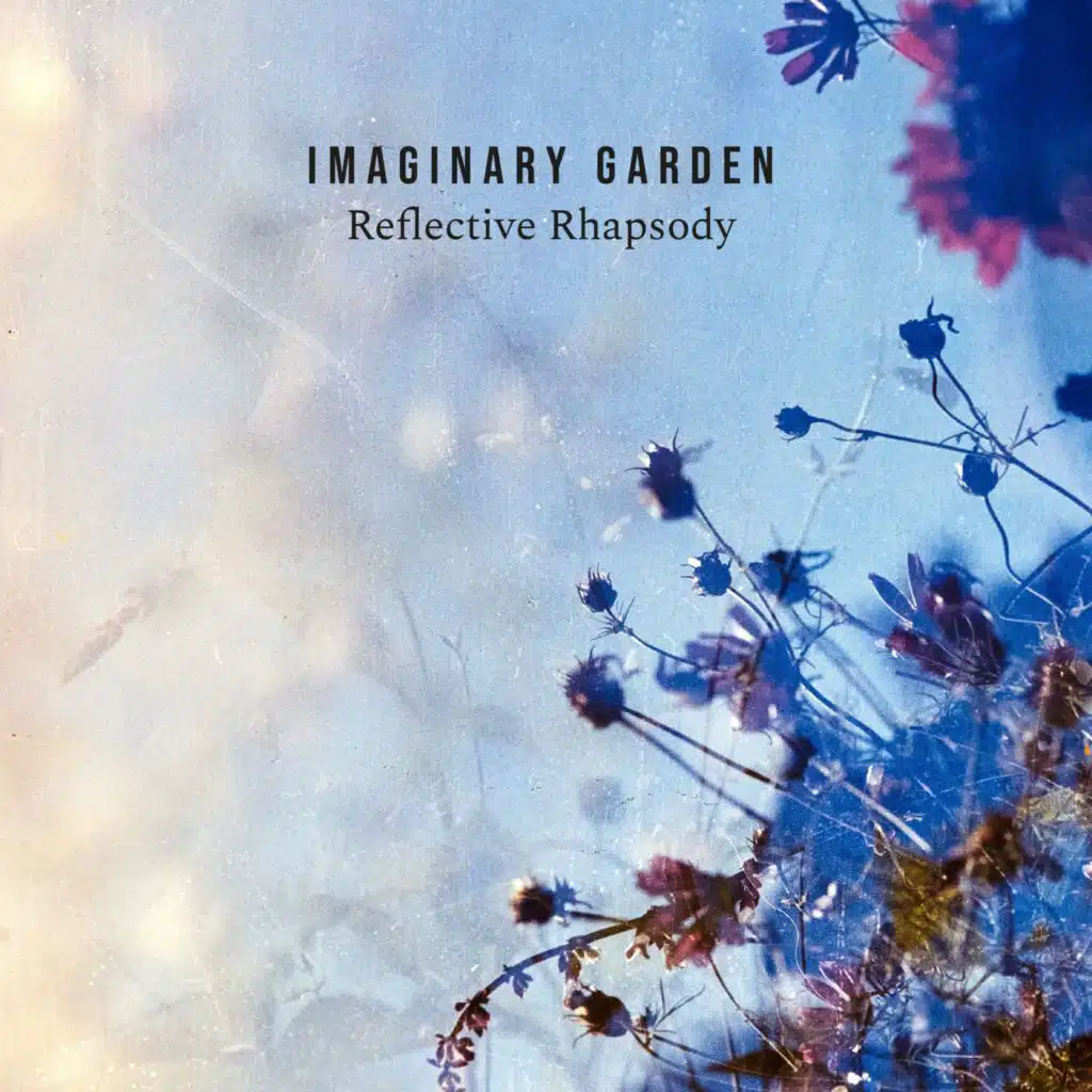 Reflective Rhapsody