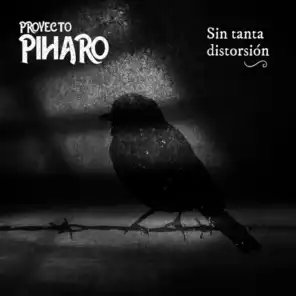 Proyecto Piharo