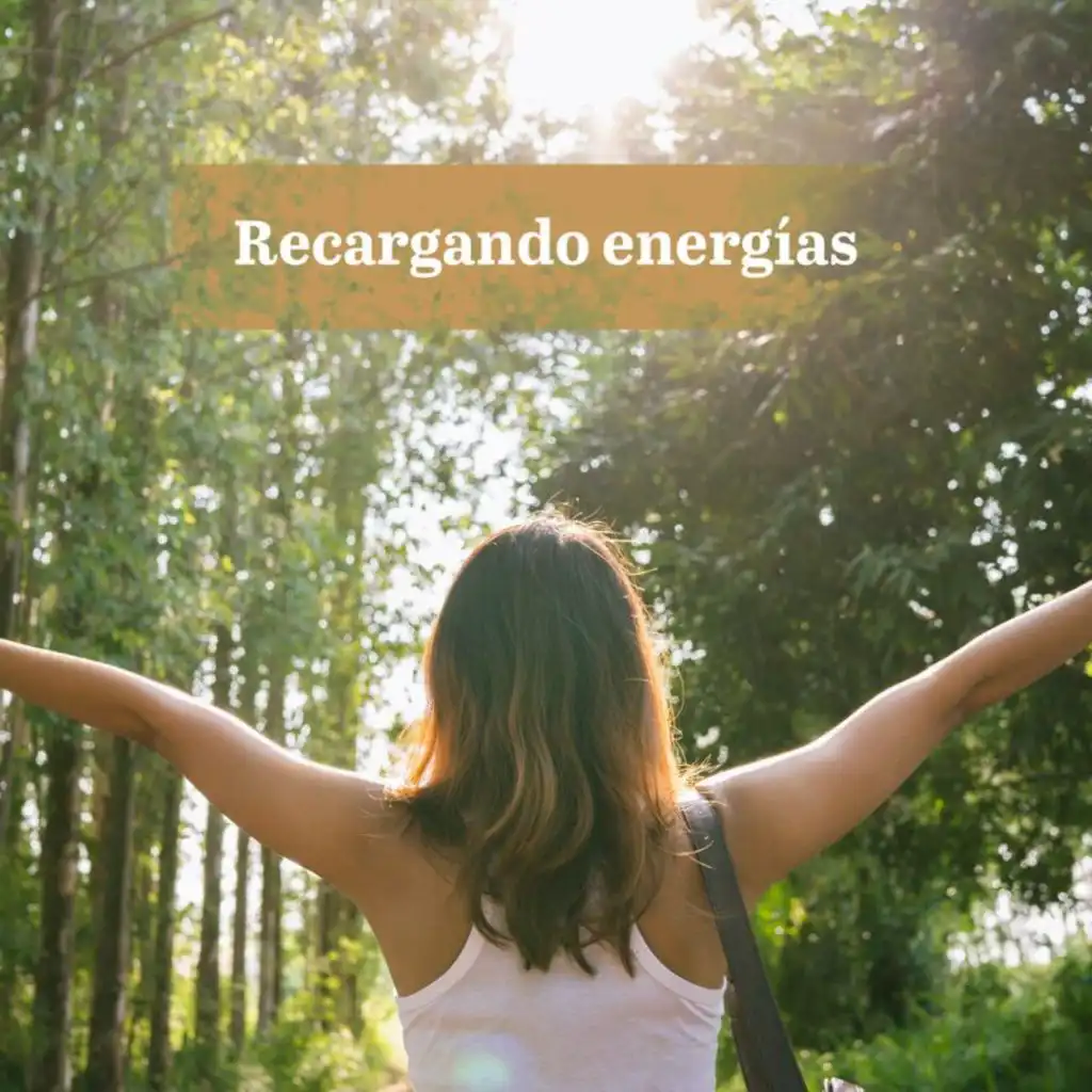 Recargando energías