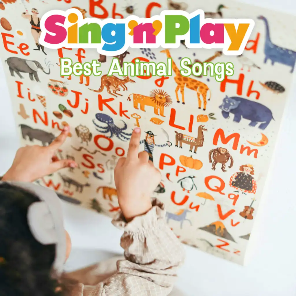 Best Animal Songs