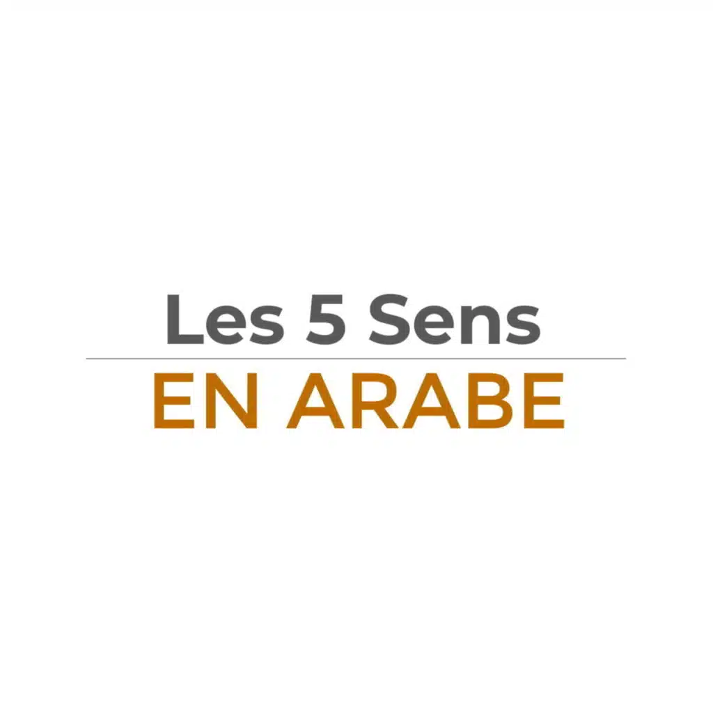 Les 5 Sens en Arabe - Vocabulaire Arabe