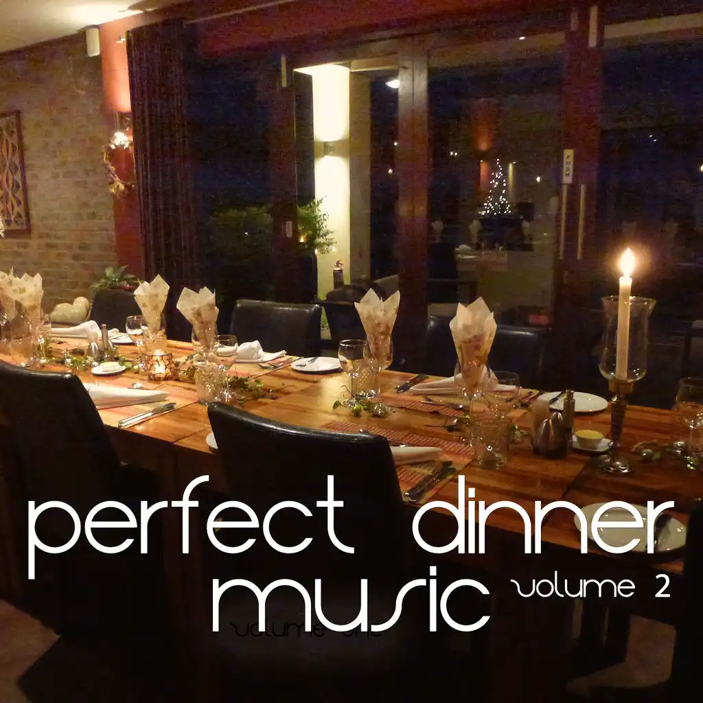 Perfect Dinner Music, Vol. 2 (The Best of Nu Jazz & Lounge Tunes)
