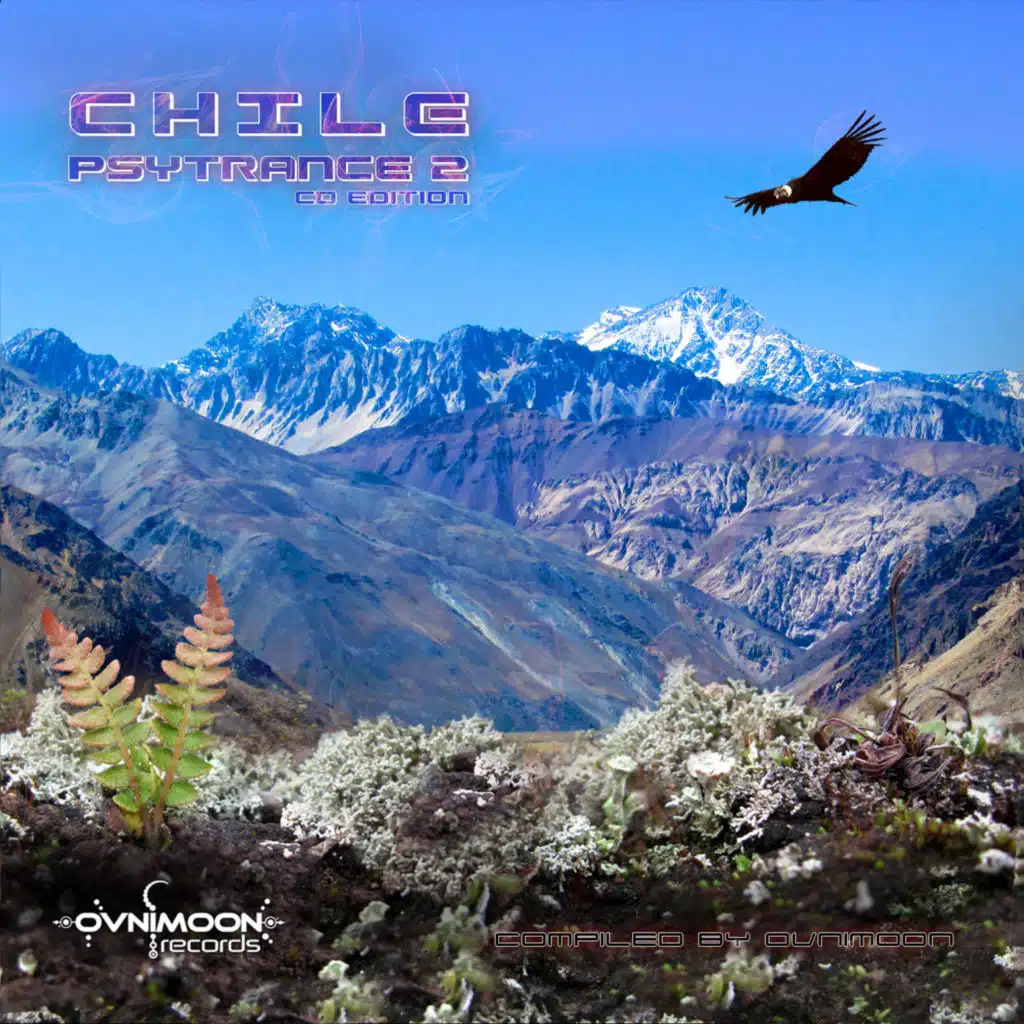 Chile Psytrance, Vol. 2