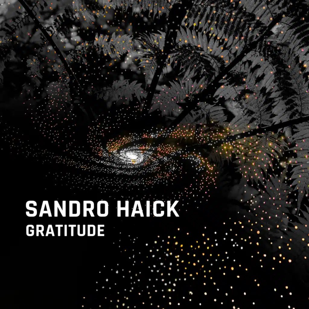 Sandro Haick