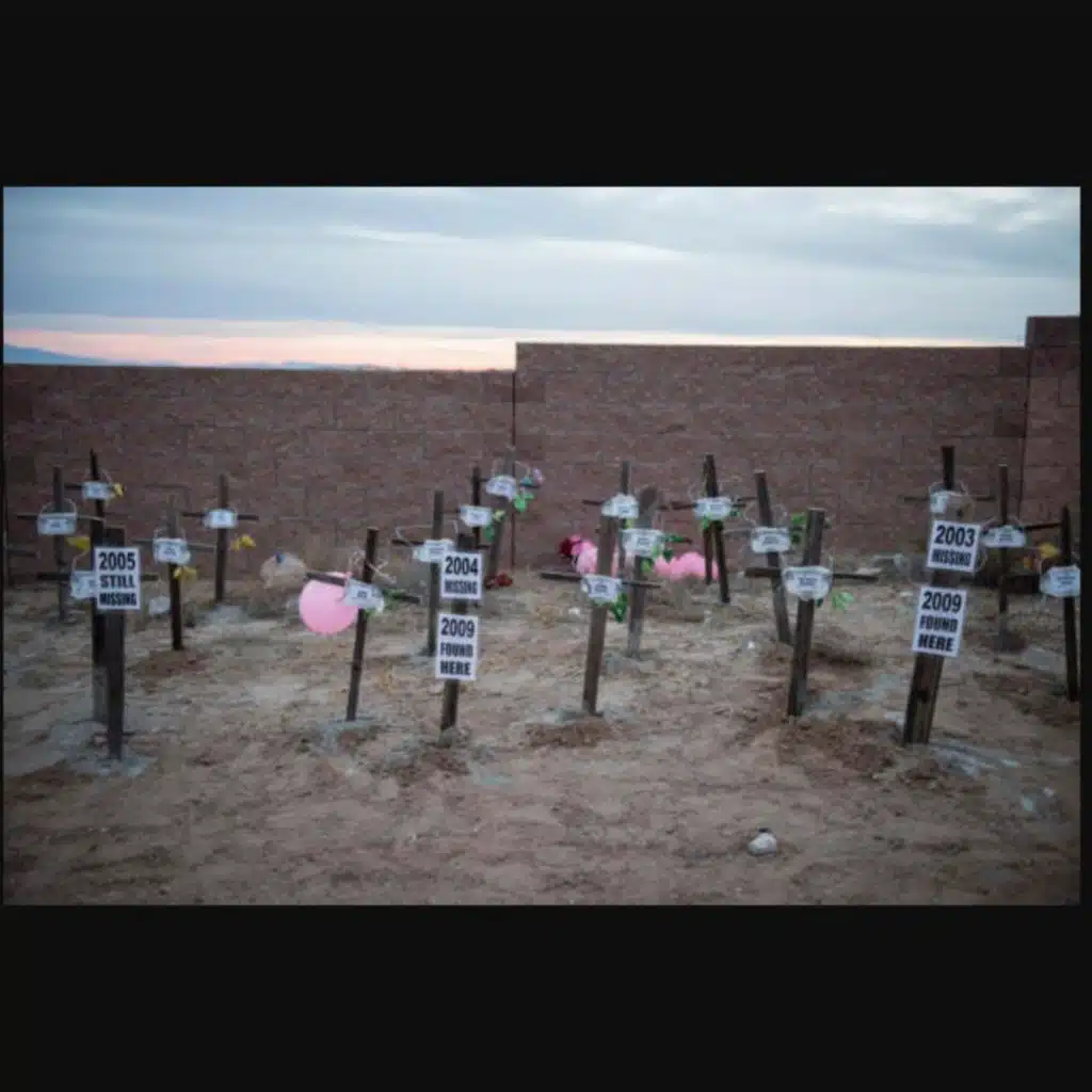 The West Mesa Bone Collector