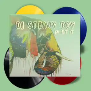 DJ Steavy Boy