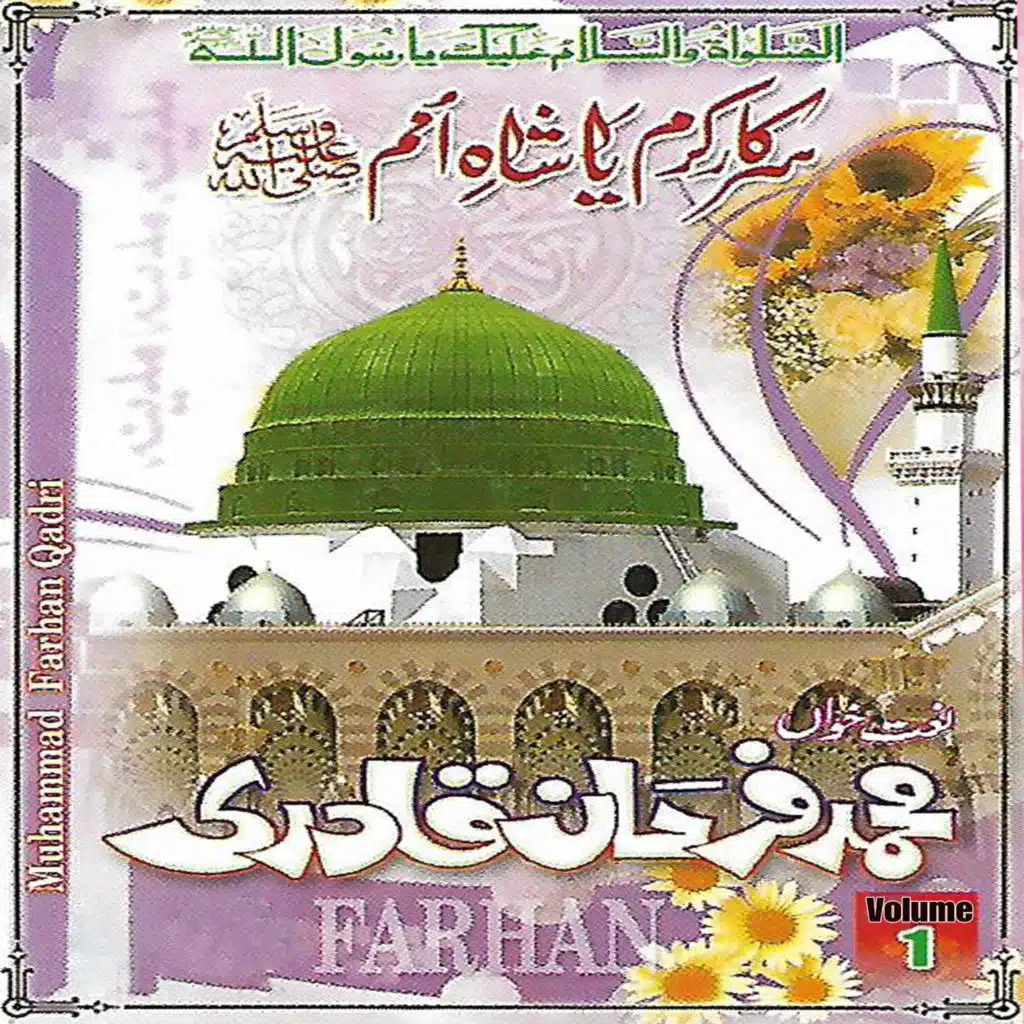 Muhammad Farhan Qadri