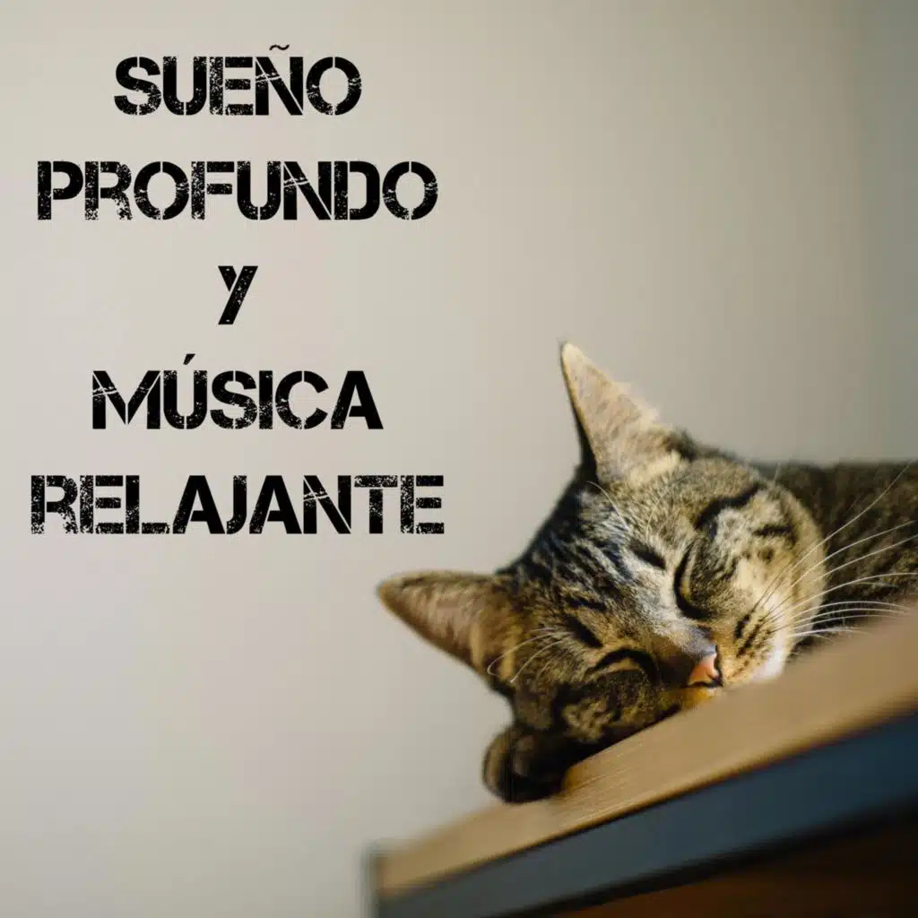 Sueño Profundo y Música Relajante