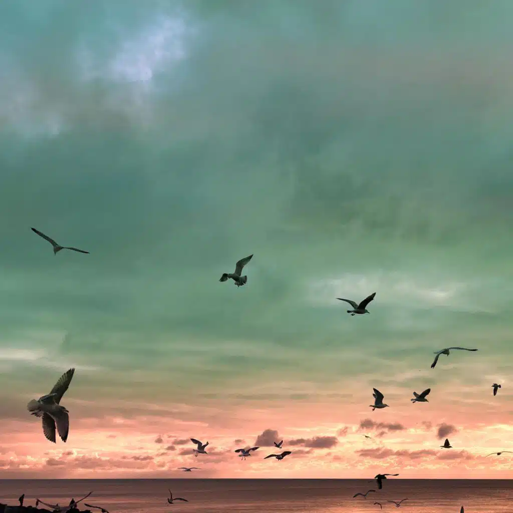 The Inventors Of Aircraft