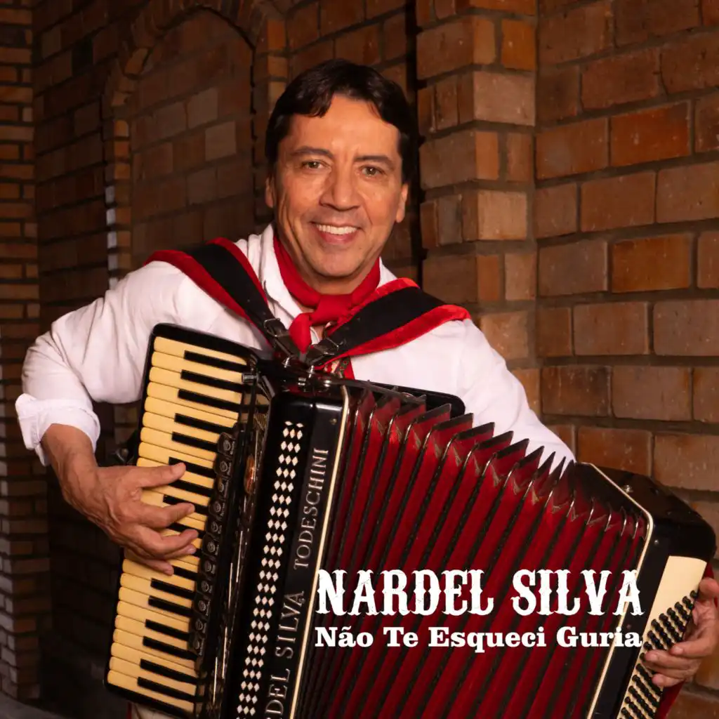 Nardel Silva