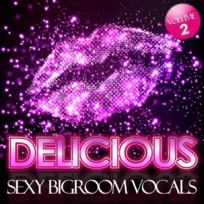 Delicious, Vol. 2 (Sexy Bigroom Vocals)