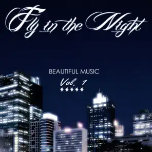 Fly in the Night, Vol.1 (Beautiful Music Compilation 2013)