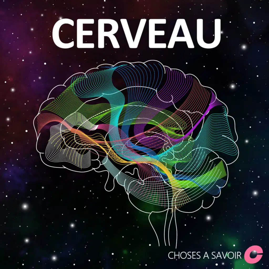 Chanter peut-il nous aider à mieux faire vieillir notre cerveau&nbsp;?