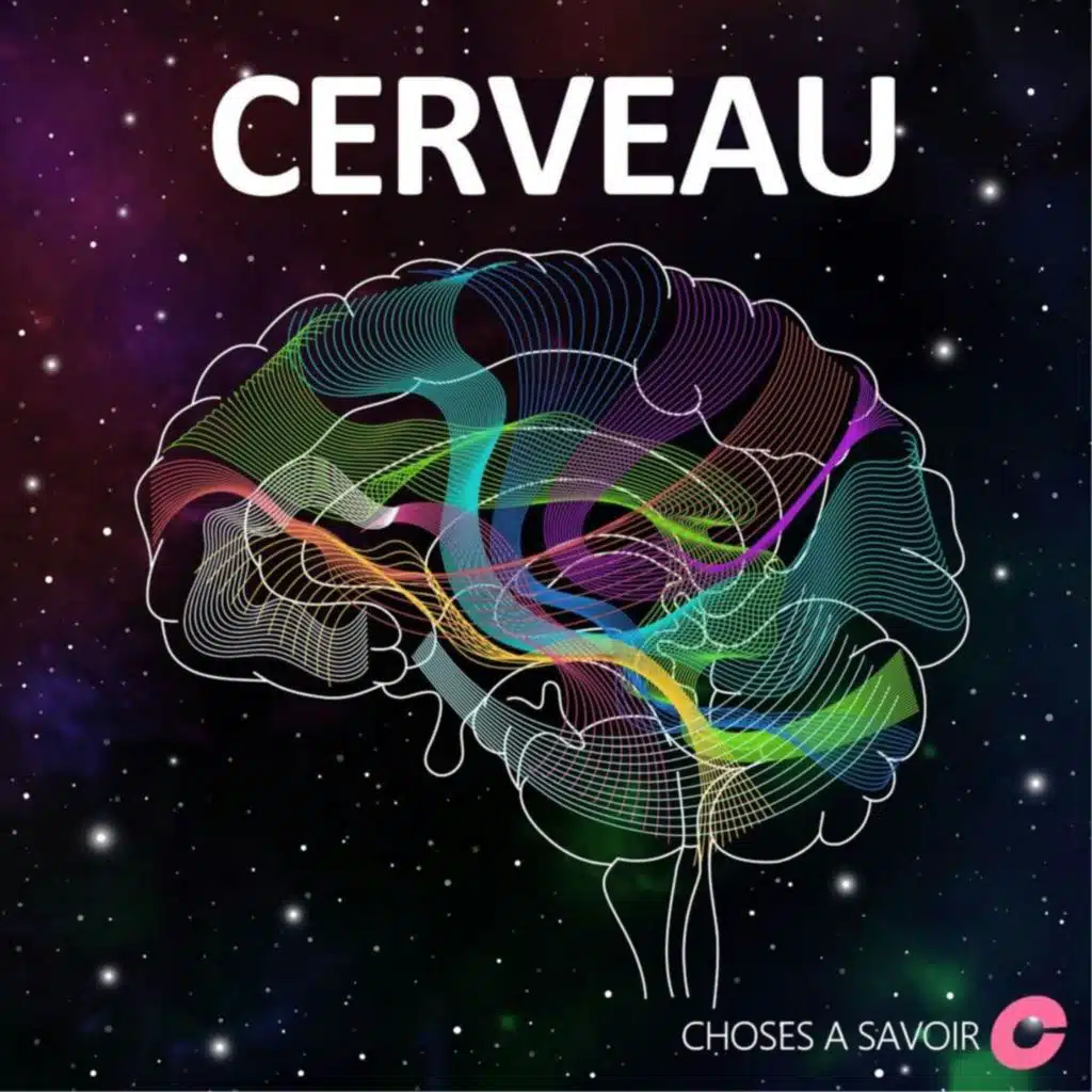 Mesurer la santé du cerveau dans les urines&nbsp;?